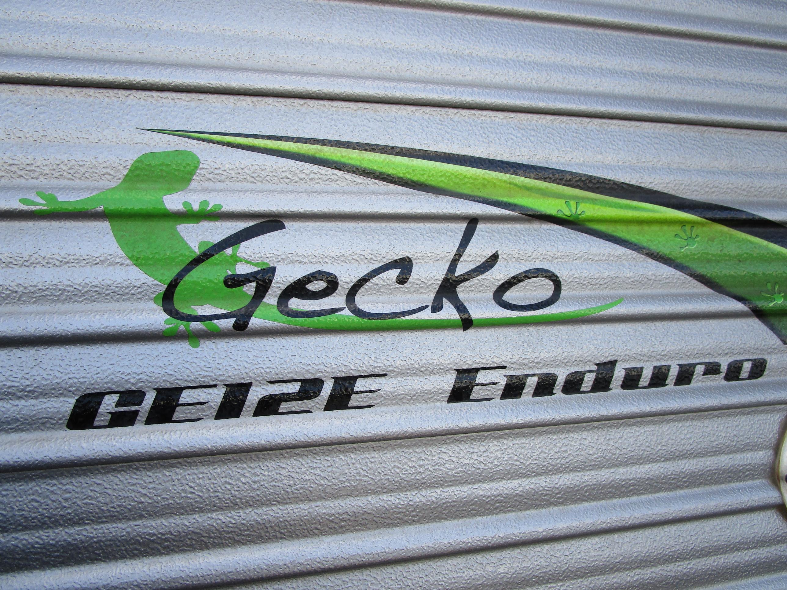 New Age Gecko - Gallery image thumbnail 34
